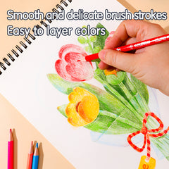 Colorun Colored Pencil-Full-24  | High Quality | Vibrant | Safe | 24 colors