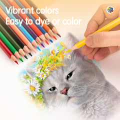 Colorun Colored Pencil-Full-12 | High Quality | Vibrant | Safe | 12 colors