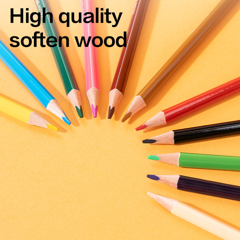 WOW Colored Pencil-Full-24 | Vibrant | Light-weight | Flawless coloring | 24 colors