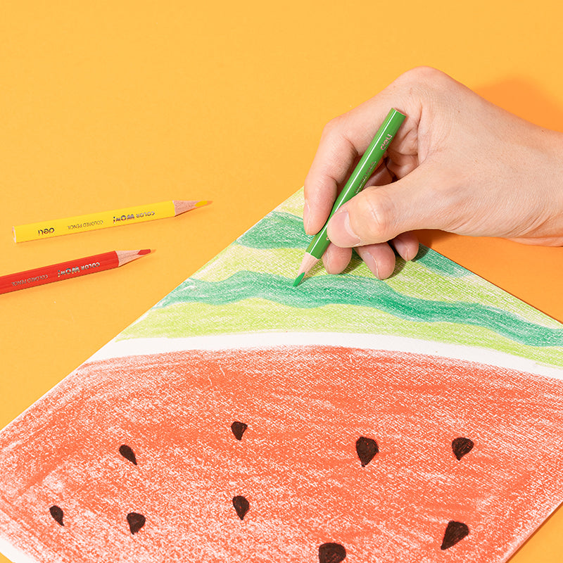 WOW Colored Pencil-Half-12 | Vibrant | Triangular barrel | Reliable | 12 colors | Handy